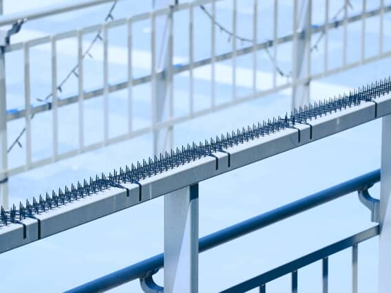 鳥害対策｜工場メンテナンス・省エネ工事.com