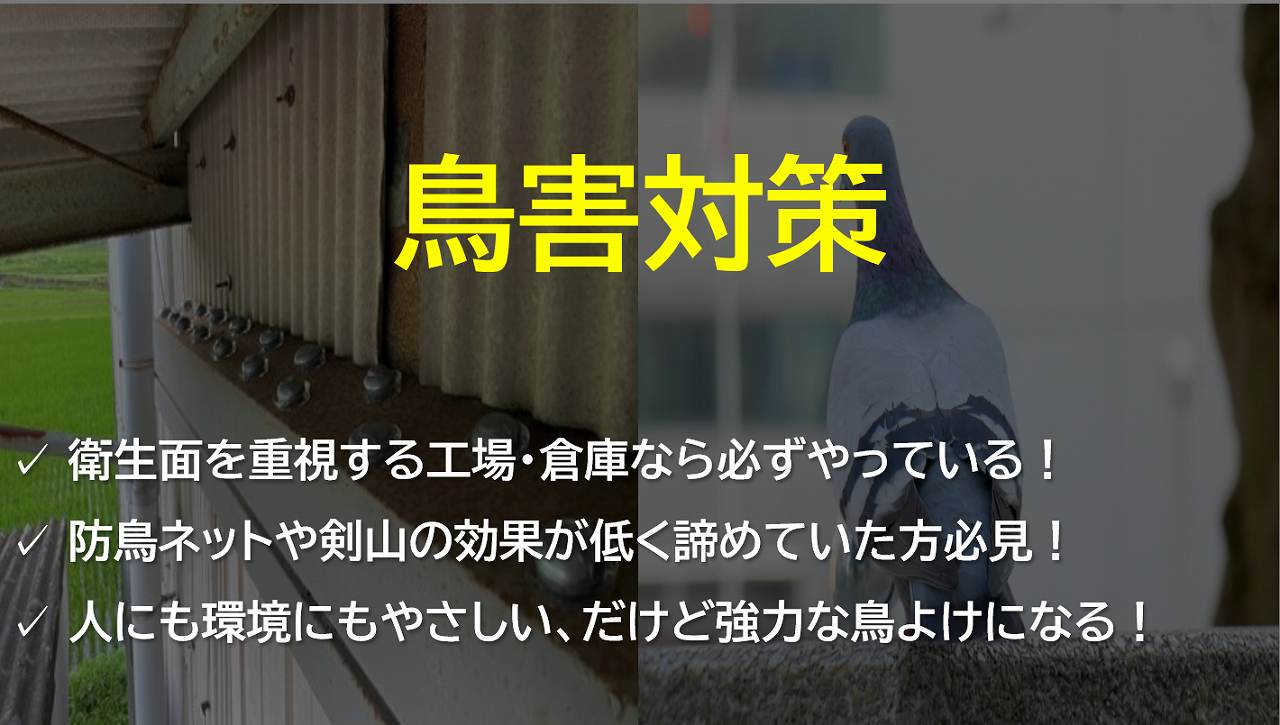 鳥害対策｜工場メンテナンス・省エネ工事.com